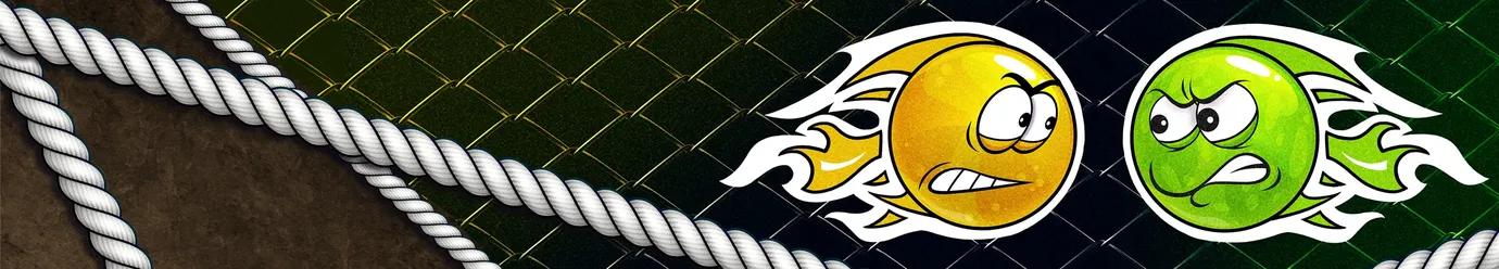 Uluslararası MMA Ligi